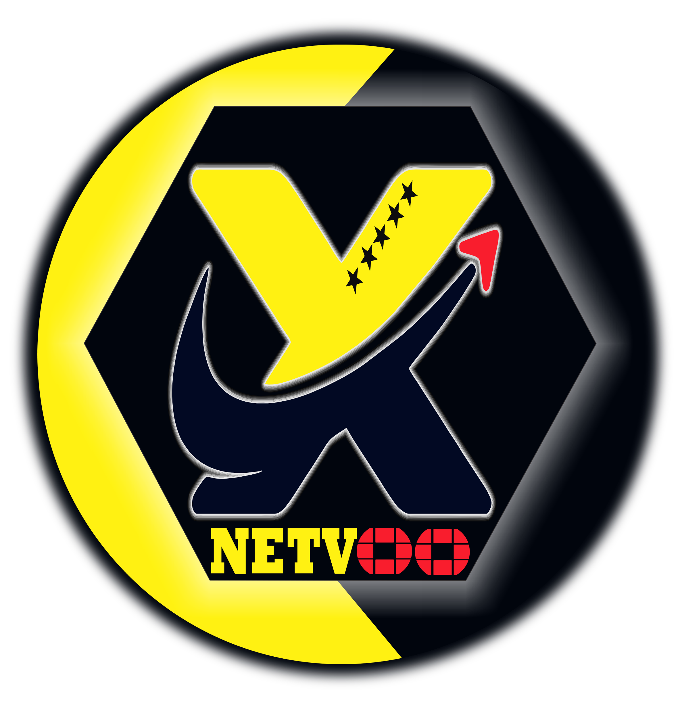 GRUPO NETVOO & PROTEGE